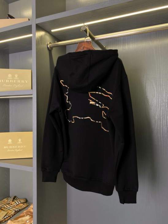 Picture of Burberry Hoodies _SKUBurberryS-2XLaztx86301841